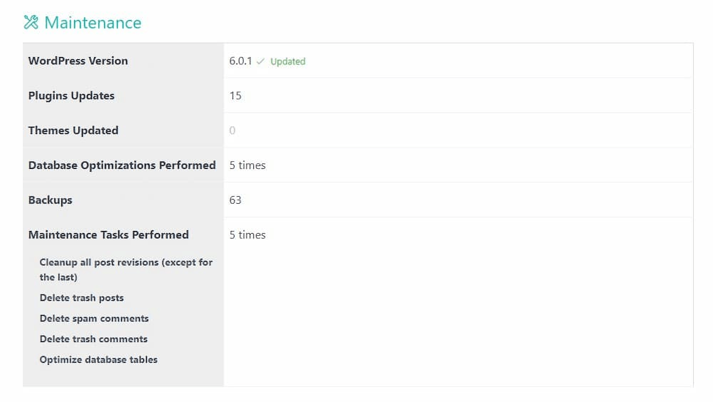 Website Maintenance Report