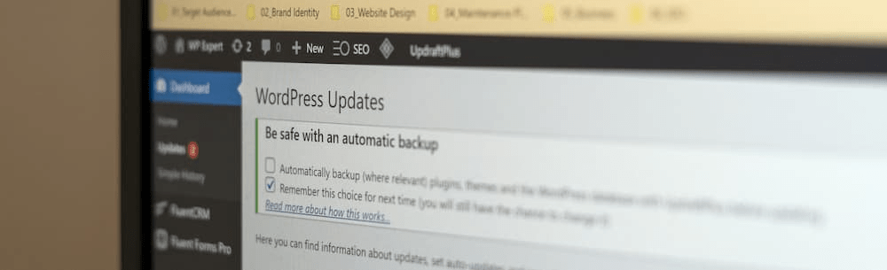 Wordpress website software updates on the WP Expert dashboard
