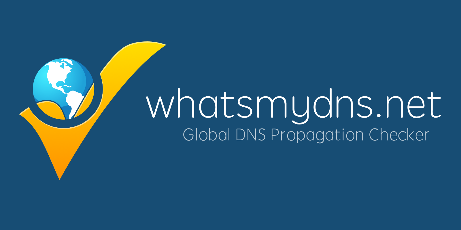 WHAT IS MY DNS logo
