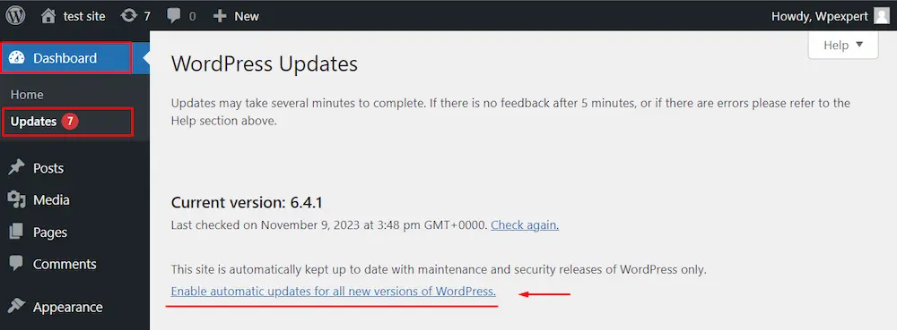 update automatically wordpress Update automatically WordPress